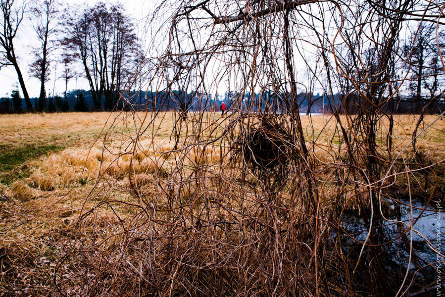 fotografia-okonasznurku