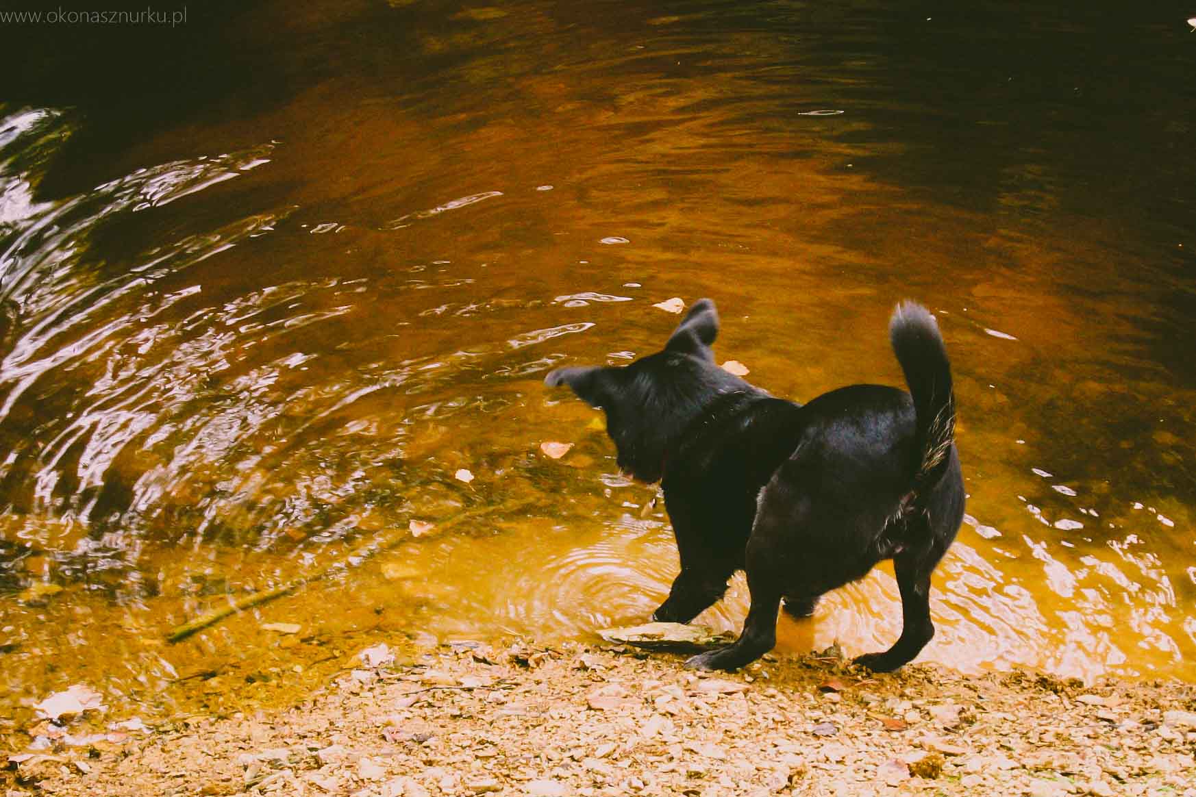 okonasznurku-kolorowe-jeziorka-rudawy-janowickie-fotografia (16)