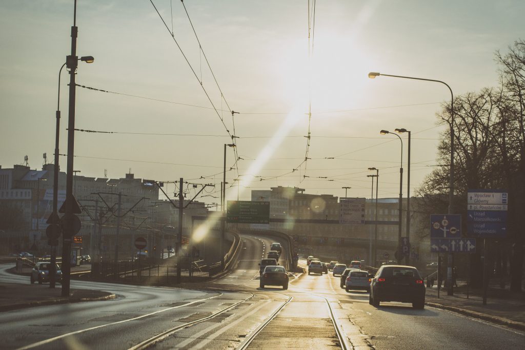 wroclaw-sesja-zdjeciowa-w-plenerze-natura (11)