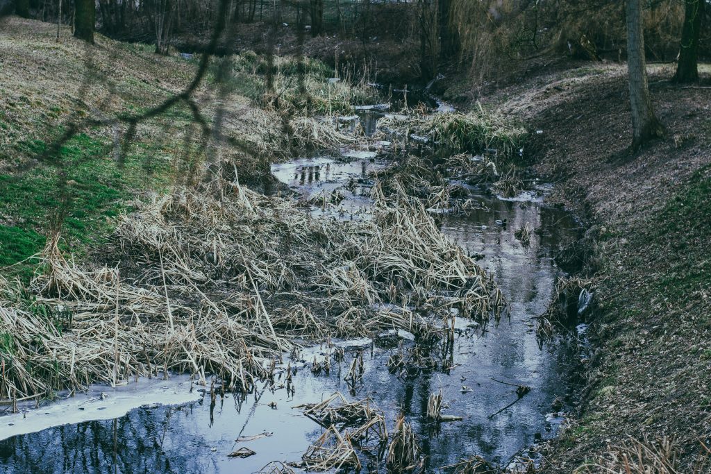 wroclaw-sesja-zdjeciowa-w-plenerze-natura (12)