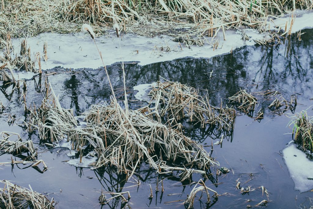 wroclaw-sesja-zdjeciowa-w-plenerze-natura (14)