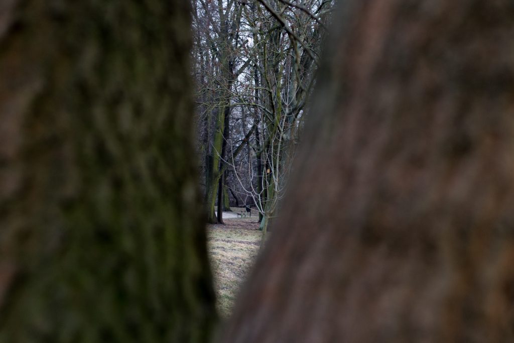 wroclaw-sesja-zdjeciowa-w-plenerze-natura (16)