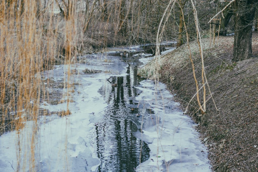 wroclaw-sesja-zdjeciowa-w-plenerze-natura (17)
