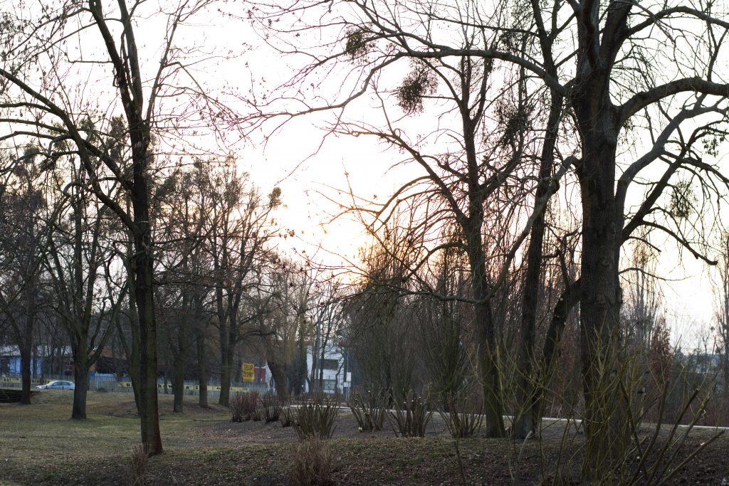 wroclaw-sesja-zdjeciowa-w-plenerze-natura (18)
