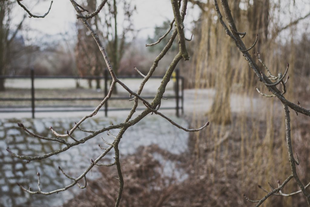 wroclaw-sesja-zdjeciowa-w-plenerze-natura (22)