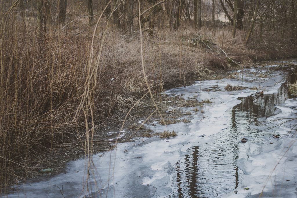 wroclaw-sesja-zdjeciowa-w-plenerze-natura (23)