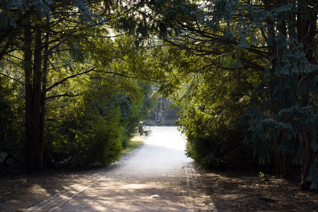 wroclaw-sesja-zdjeciowa-w-plenerze-natura (6)