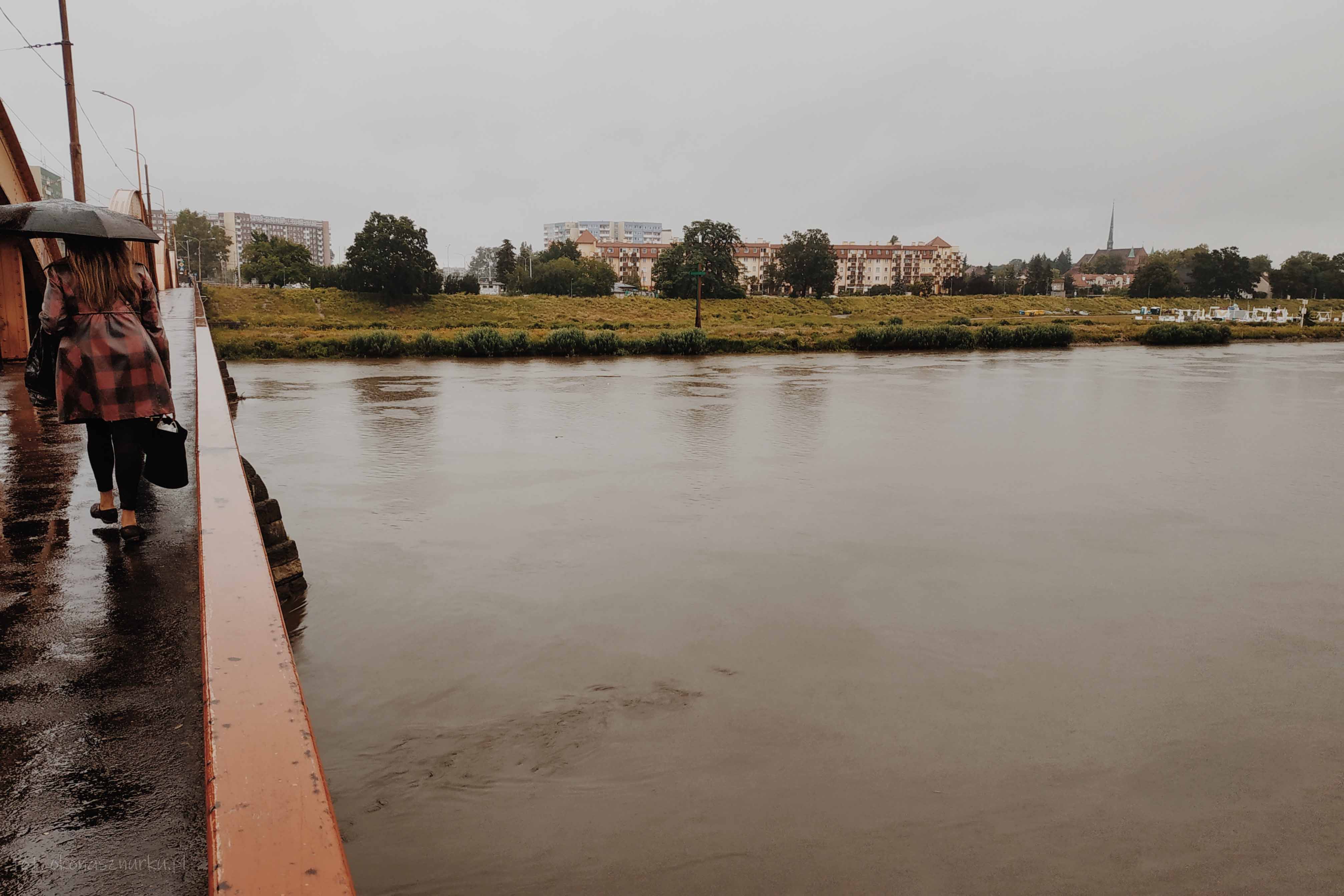 powodz-odra-wroclaw-2020-okonasznurku (14)