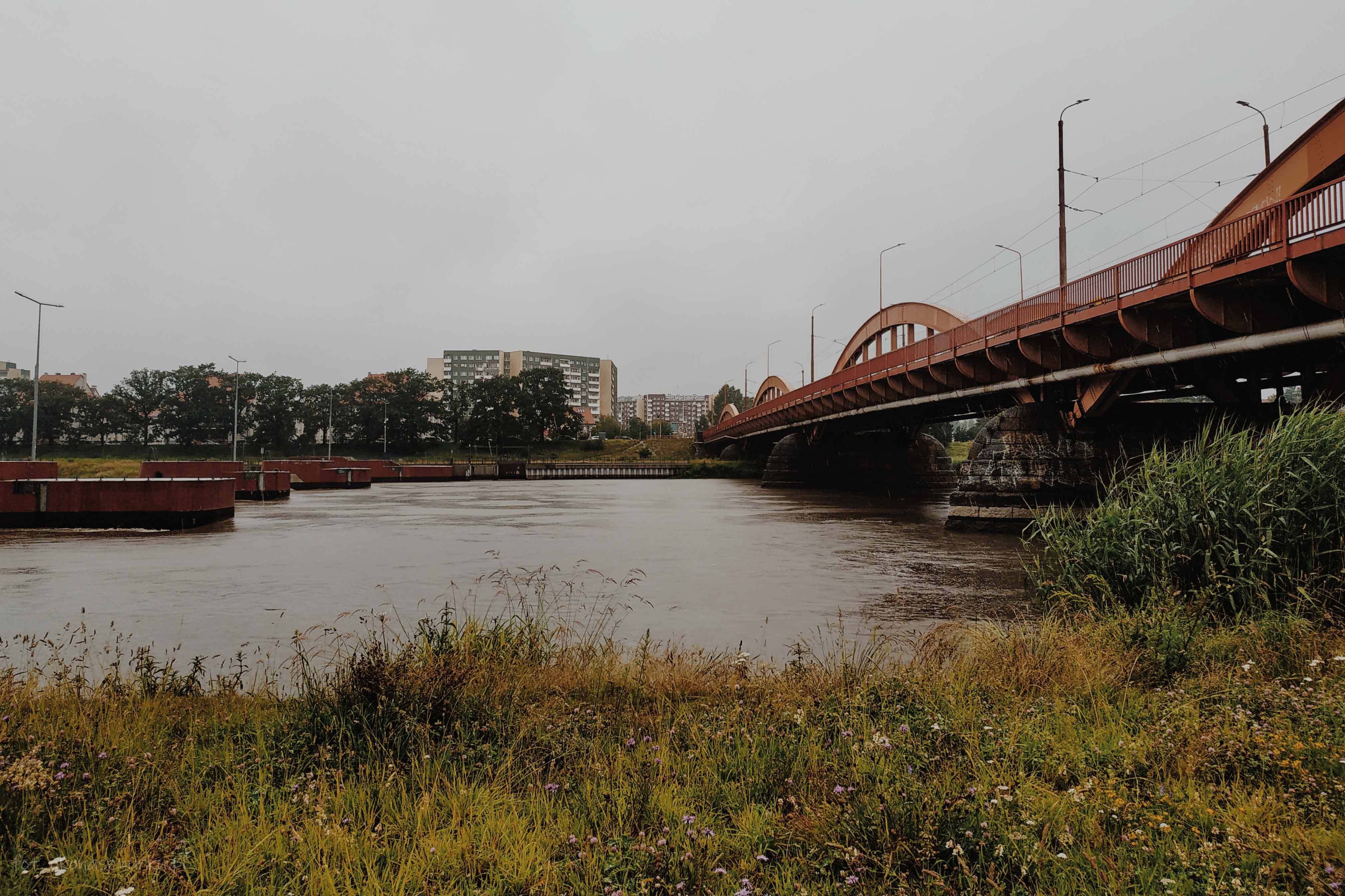 powodz-odra-wroclaw-2020-okonasznurku (18)