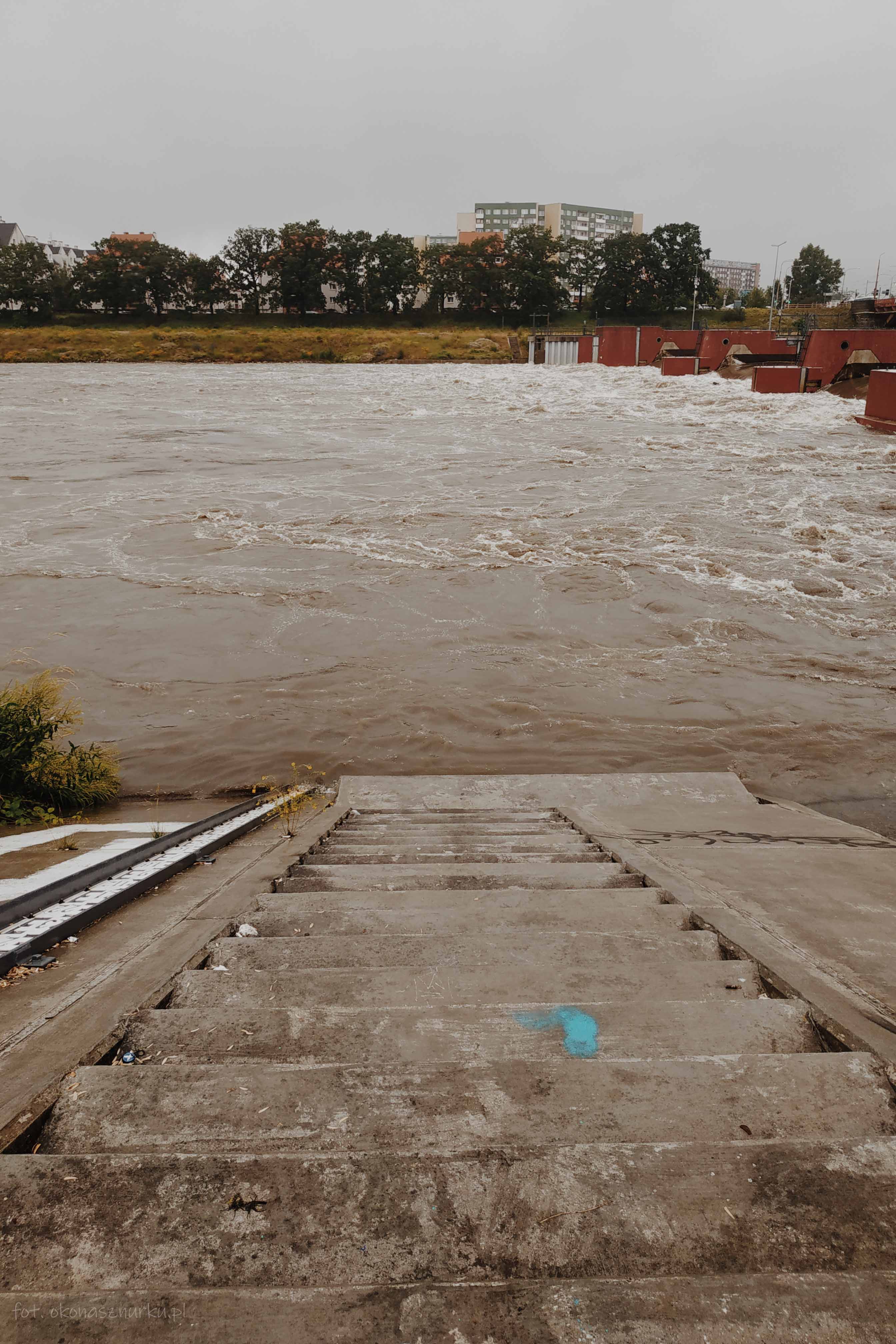 powodz-odra-wroclaw-2020-okonasznurku (28)